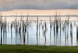 1._bumi_hills_safari_lodge_lake_kariba_zimbabwe_luxury_safari_lodge_lake_shore_walking_safari__african_bush_camps_93-1920w