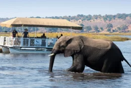 Chobe-River-Cruise-Safari-1920w