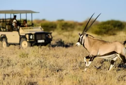 Game-Drive-in-Botswana-1920w
