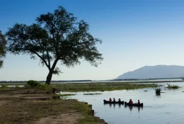 nyamatusi_062-1920w